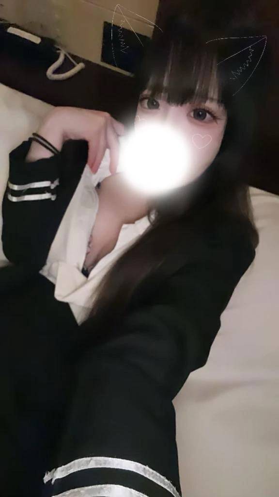 本日🐰