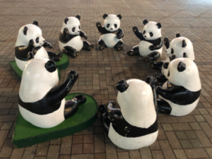 パンダの集まり