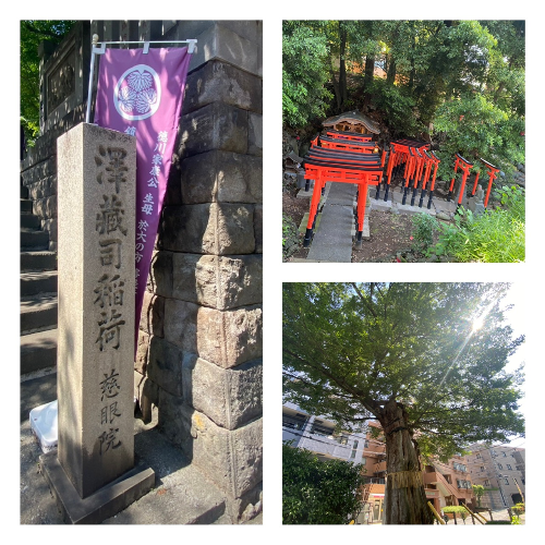 ニシナ（東京★出張マッサージ委員会Z）