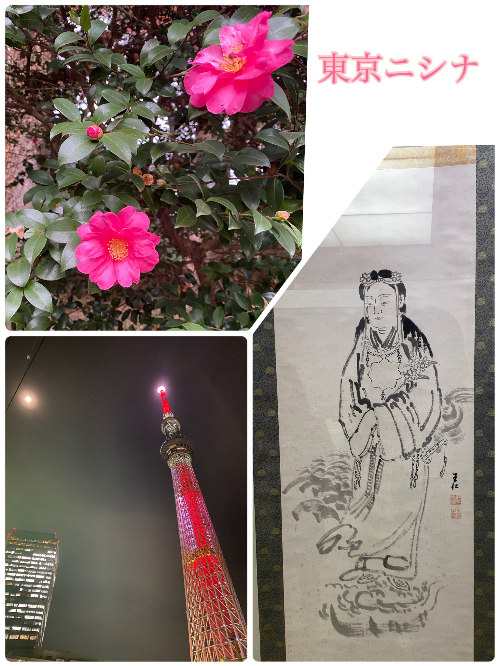 ニシナ(東京★出張マッサージ委員会Z)