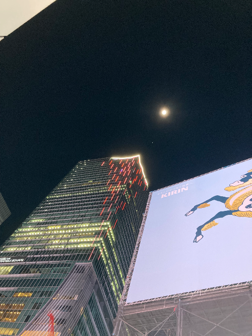 謹賀新年今宵は満月