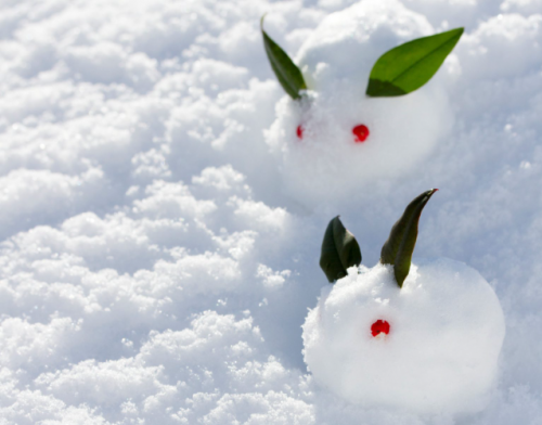 寒波ですね〜。（汗）