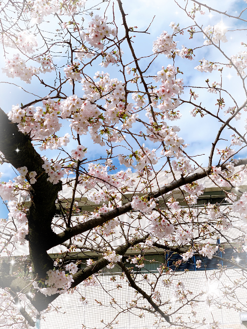 ミズハラ（東京★出張マッサージ委員会Z）