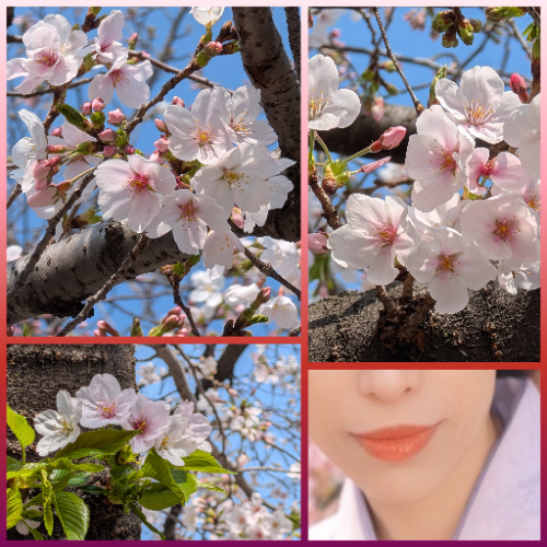 ハスミ（東京★出張マッサージ委員会Z）