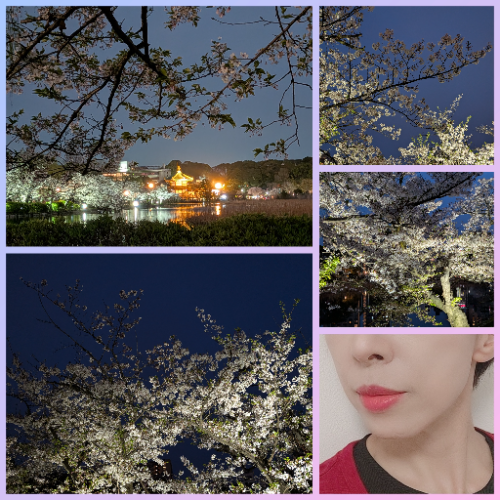 春の嵐