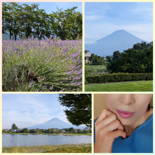 癒しのラベンダー
