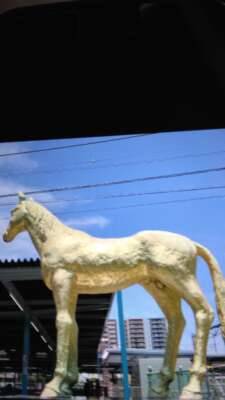 こんばんは♪♪