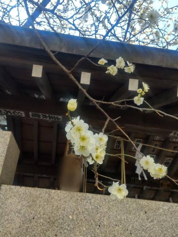 はじめまして。