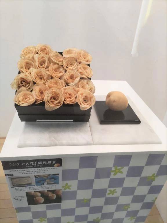 お菓子ミュージアム