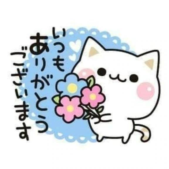 お礼日記　バリバリ　Tさま