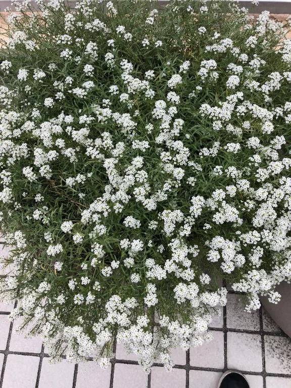 これから〜