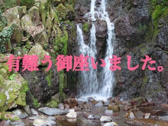 レディアシュレイのあなた様