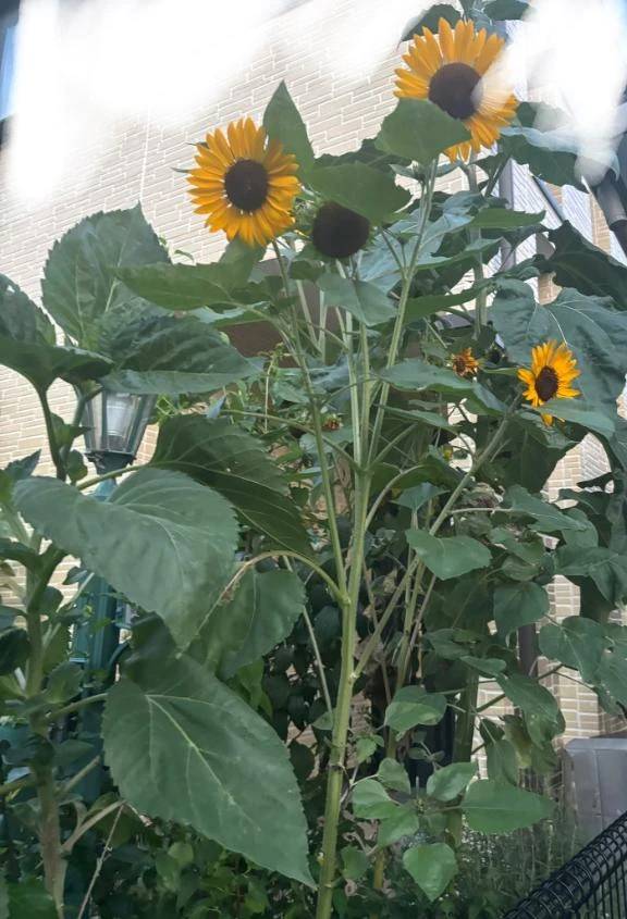おはようございます☀️