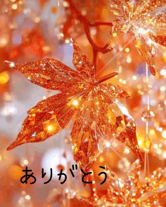 昨日のお礼 ハイビスカスK様
