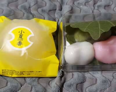 今日のお礼(´>∀<｀)ゝ