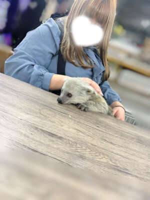 ‎🤍お礼と次回の出勤