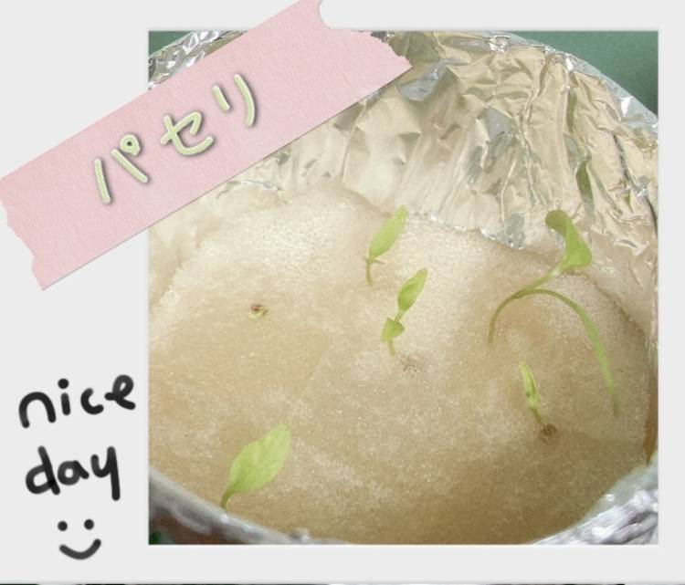 本日出勤です(*･ε･*)