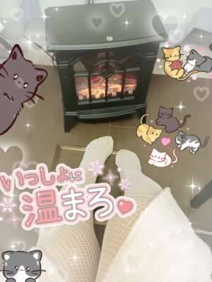 明日はネコの日〜