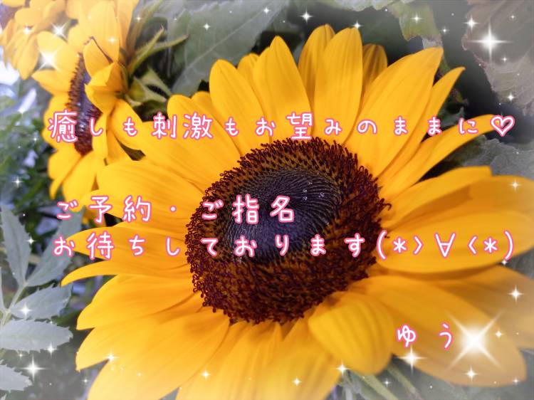 出勤しました～(*>∀