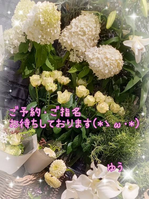 出勤～っε=ε=(ノ≧∇≦）ノ