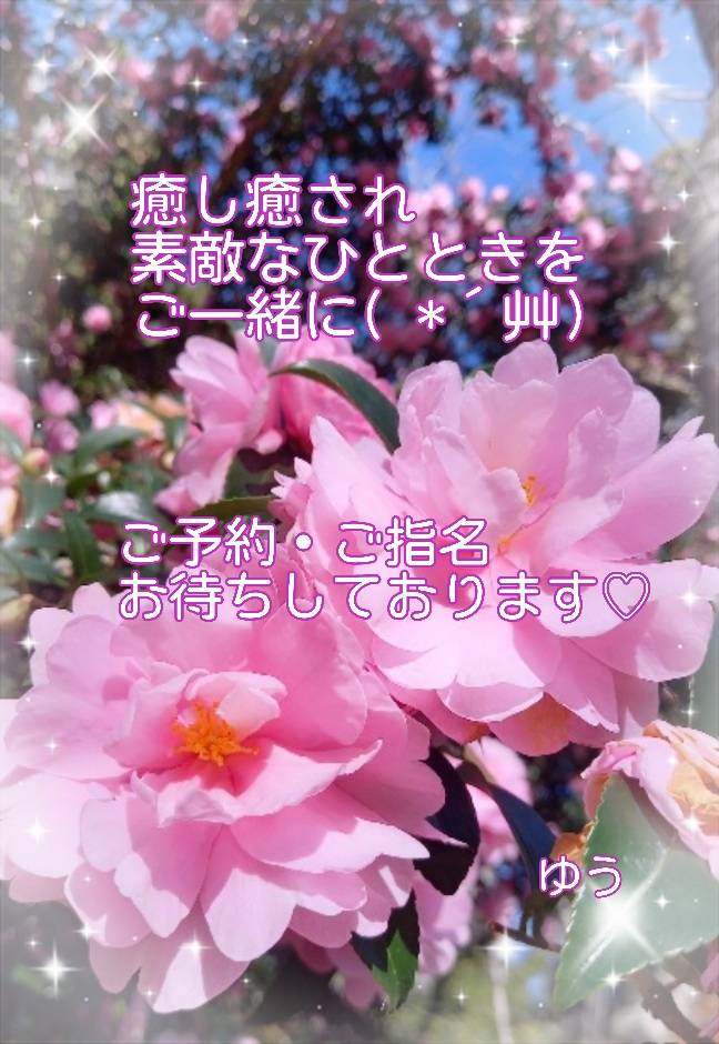 出勤中～っ(*≧∀≦)