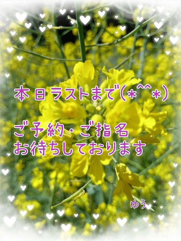 出勤中(*￣∇￣)ノ