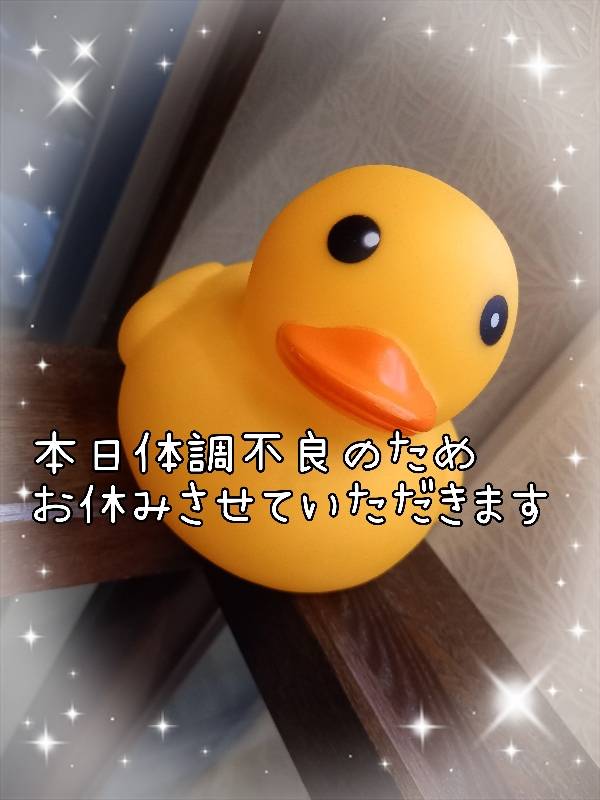 本日の予定……