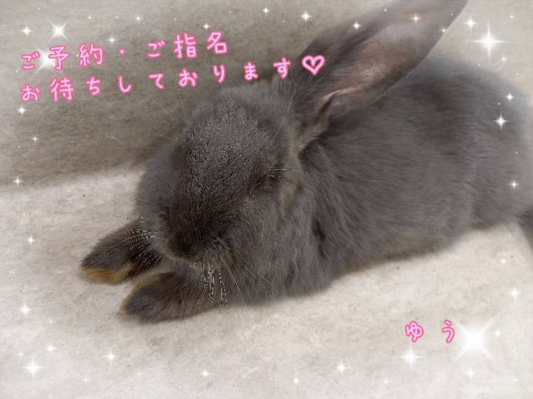 出勤しました～(*￣∇￣)ノ