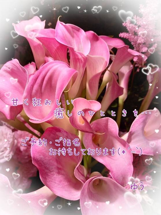 ゆう(水戸 デブ専肉だんご&人妻 浮気現場)