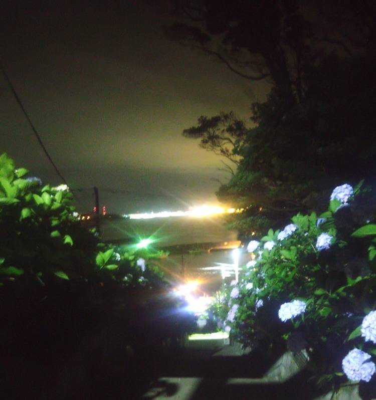 ８月１日出勤します☆