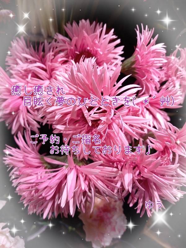 ゆう(水戸 デブ専肉だんご&人妻 浮気現場)