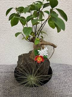 明けましておめでとう御座います