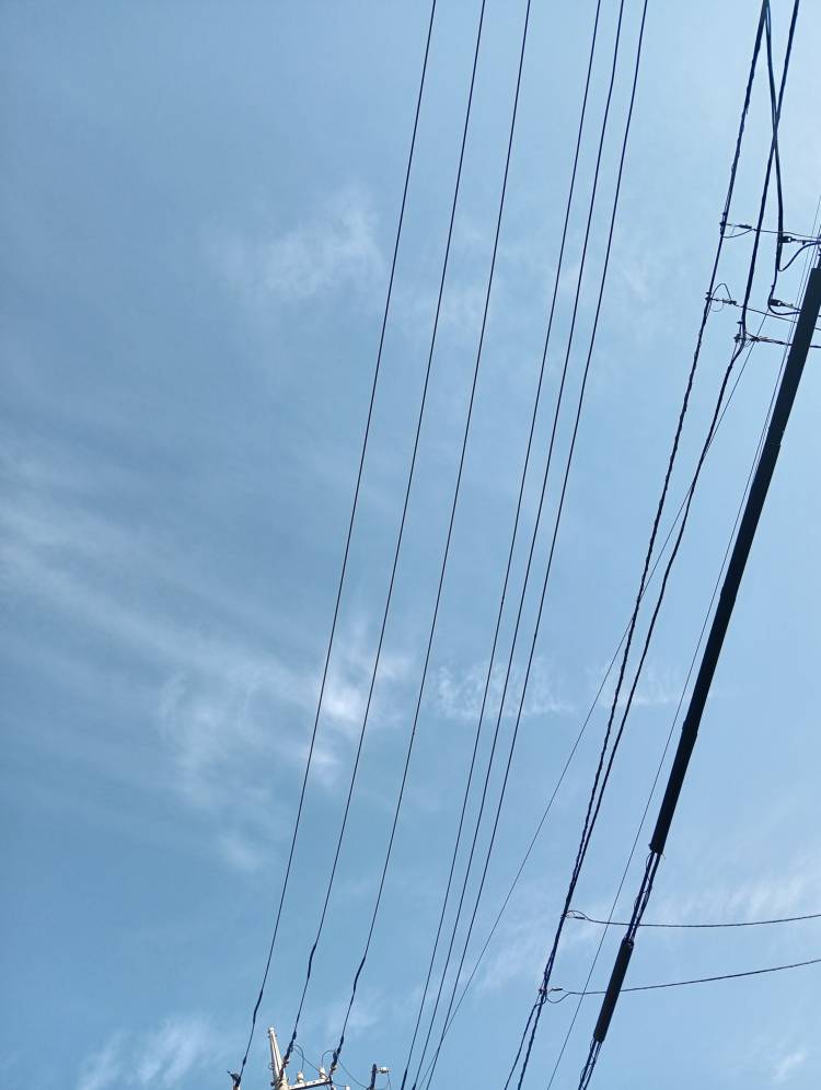 遠山 ちか（ミセスレヴォアール）