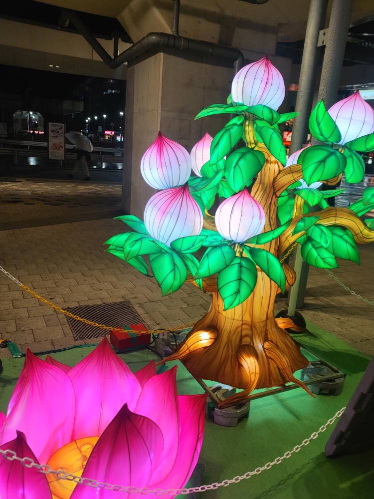 友坂みさき(ミセスレヴォアール)