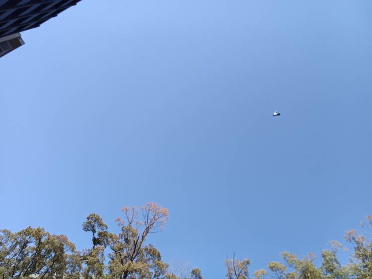 出勤してます