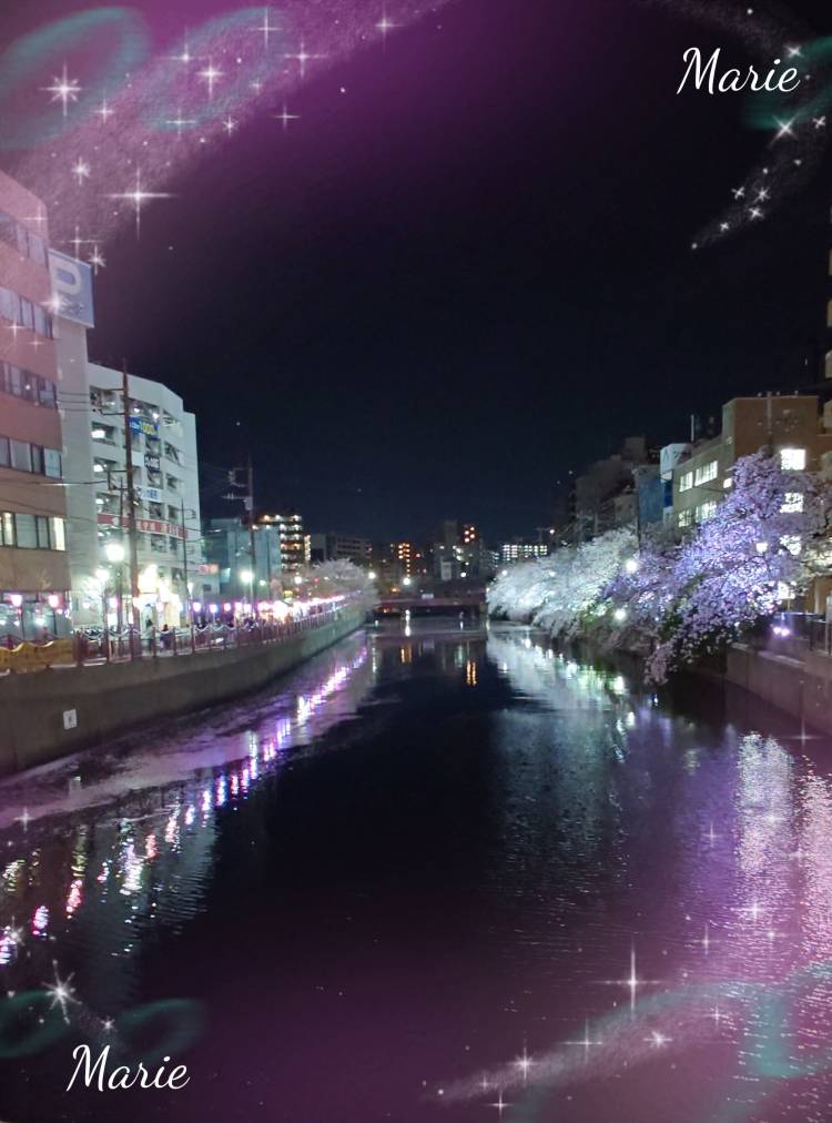 月影まりえ(ミセスレヴォアール)