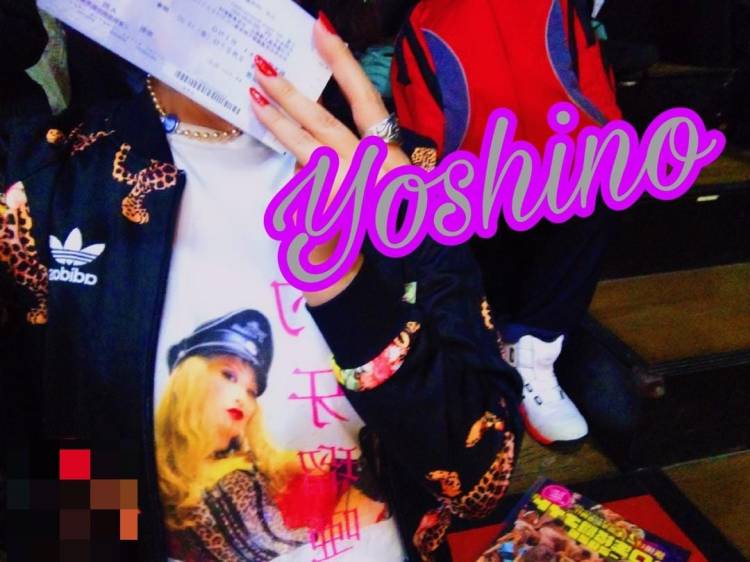 キャットファイト