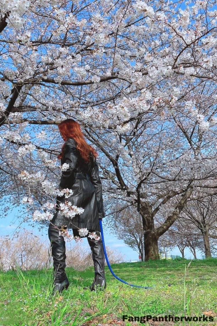 2026.3月月〆重大告知