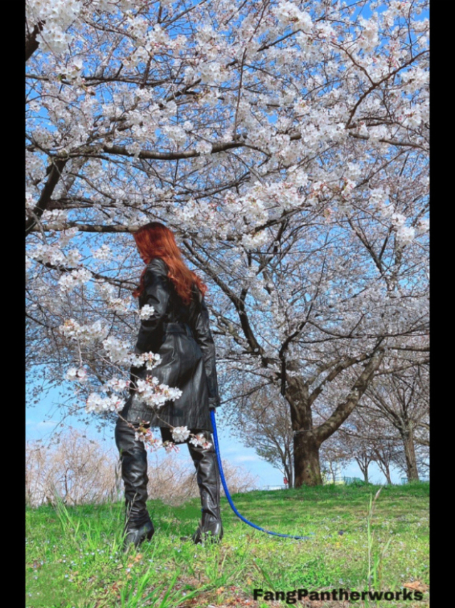 凍結（完全会員制SM倶楽部M′s Reboot）