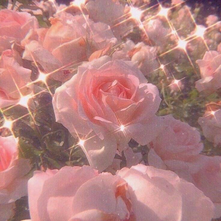 おはよ( ◜︎࿀◝︎ )⛅️