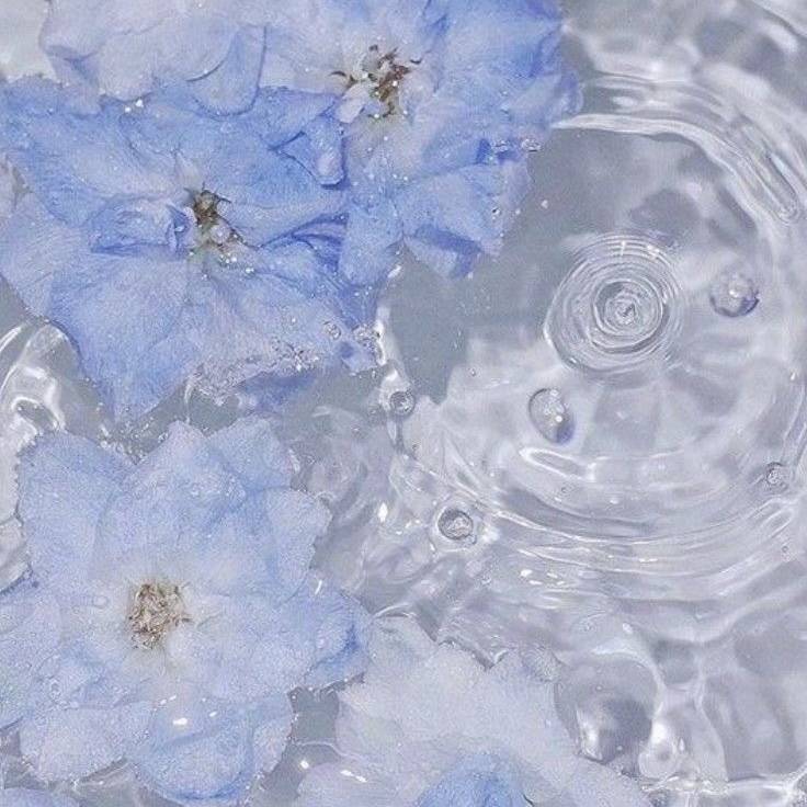 💌お礼