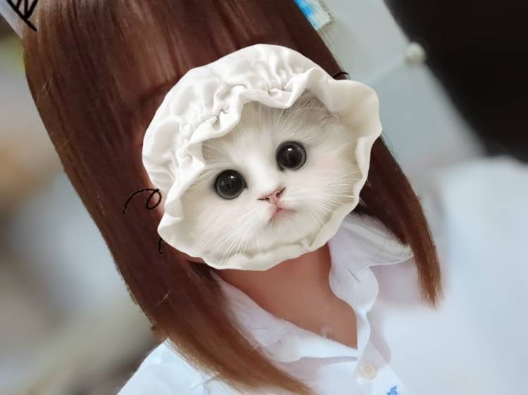 出勤したよー