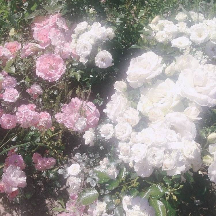 💌お礼〜明日の出勤〜