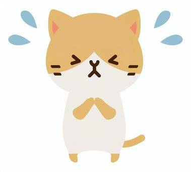 明日お休みします🙇♀️
