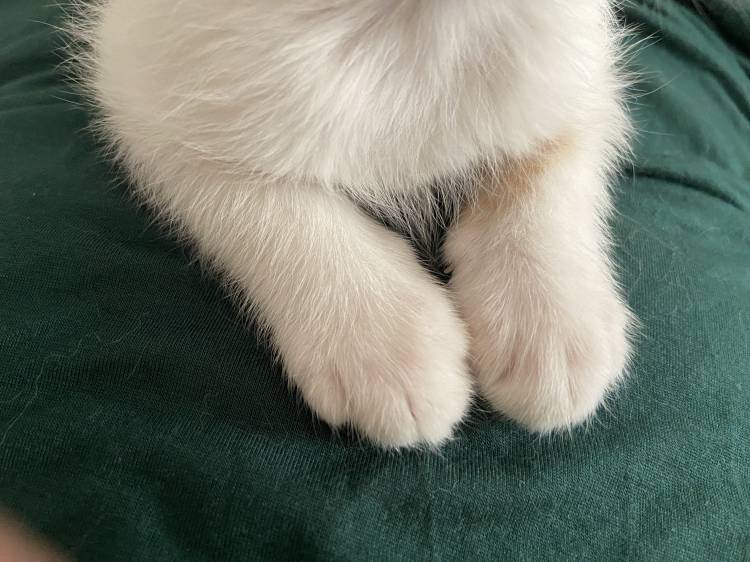 おやすみのおしらせ