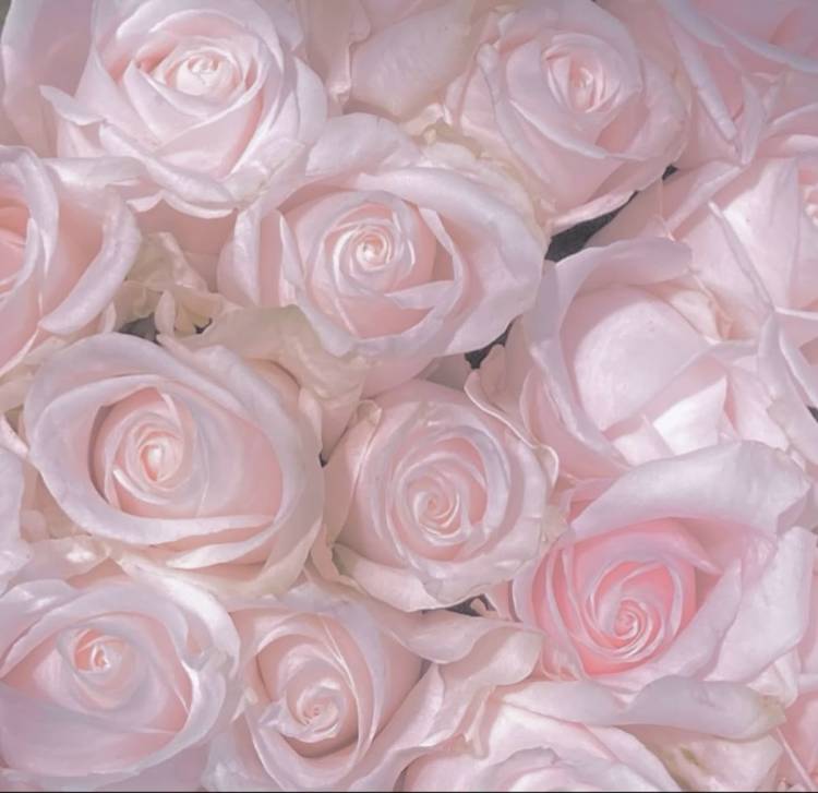 ひなた（西川口マーメイド～人魚姫～）