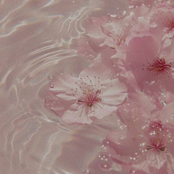 💌お礼〜次回の出勤〜