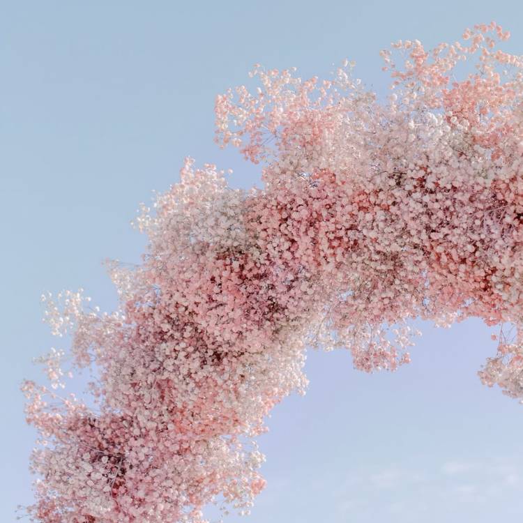 ひなた（西川口マーメイド～人魚姫～）