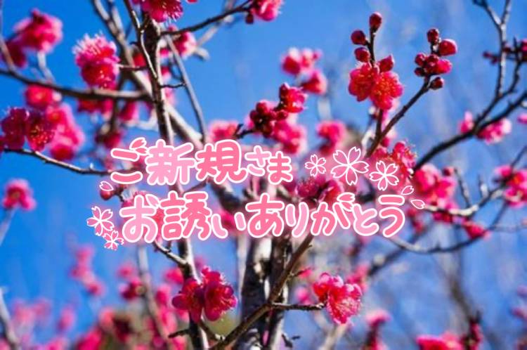おやすみの人集まれ～っ⸜🌷︎⸝‍