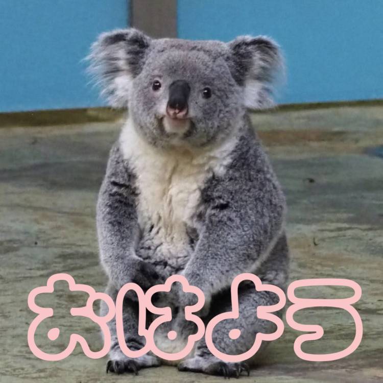 ひなた（西川口マーメイド～人魚姫～）